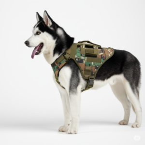 Chalecos para mascotas